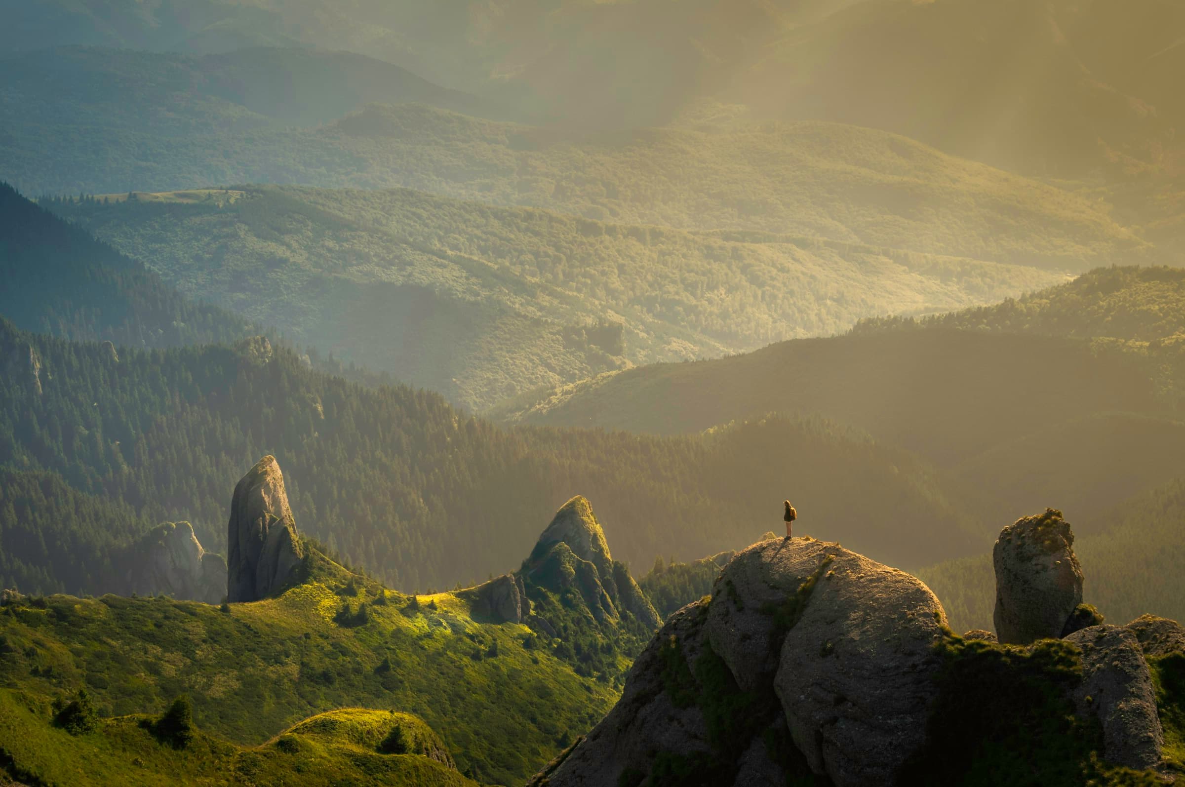 Sunlit forest path through misty mountains